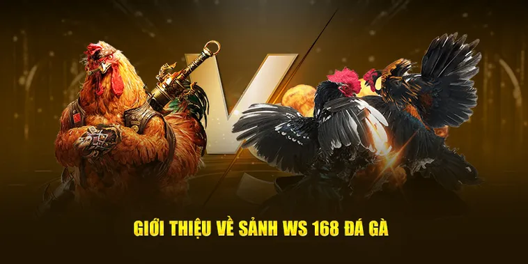 Hướng Dẫn Chơi Đá Gà WS168 AW8 Đỉnh Cao Thắng Lớn Mỗi Ngày