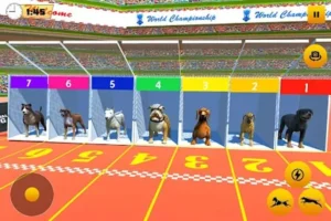 Bật Mí Cách Chơi Game Nhanh Đua Chó Tại AW8 Thắng Lớn Mỗi Ngày