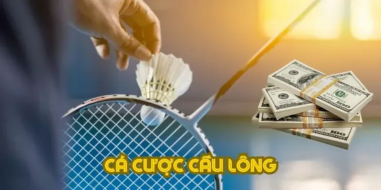 Bí Kíp Cách Chơi Cá Cược Cầu Lông Tại AW8 Đánh Bại Nhà Cái