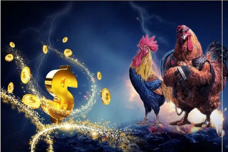 Trải Nghiệm Đỉnh Cao Đá Gà AW8 Sôi Động Và Rinh Thưởng Lớn