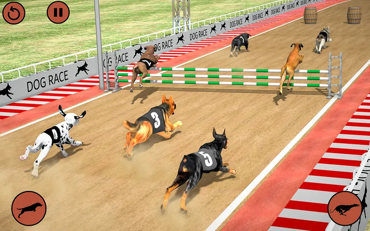 Bật Mí Cách Chơi Game Nhanh Đua Chó Tại AW8 Thắng Lớn Mỗi Ngày